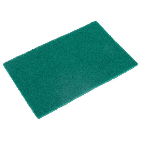 Restaurantware RW Clean Green Polyester Heavy-Duty Scouring Pad - 9" X 6" - 10 Count Box