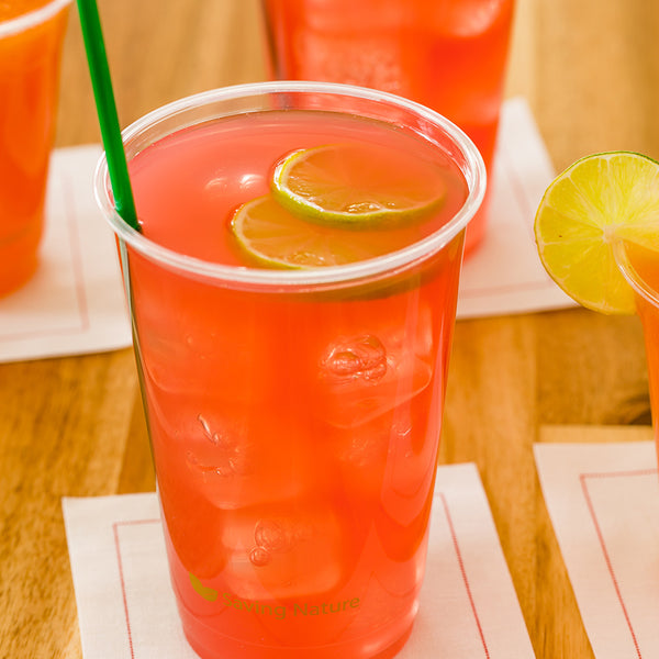 Restaurantware Sustain 16 Oz Round Clear PLA Plastic Drinking Cup - Compostable - 3 3/4" X 3 3/4" X 4 3/4" - 1000 Count Box