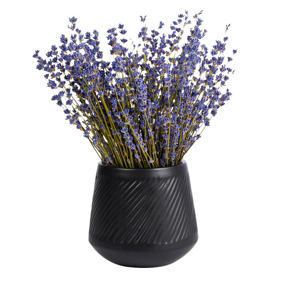 restaurantware Table Art Black Ceramic Tea Cup Vase - 6'' x 6'' x 5 1/2'' - 1 count box