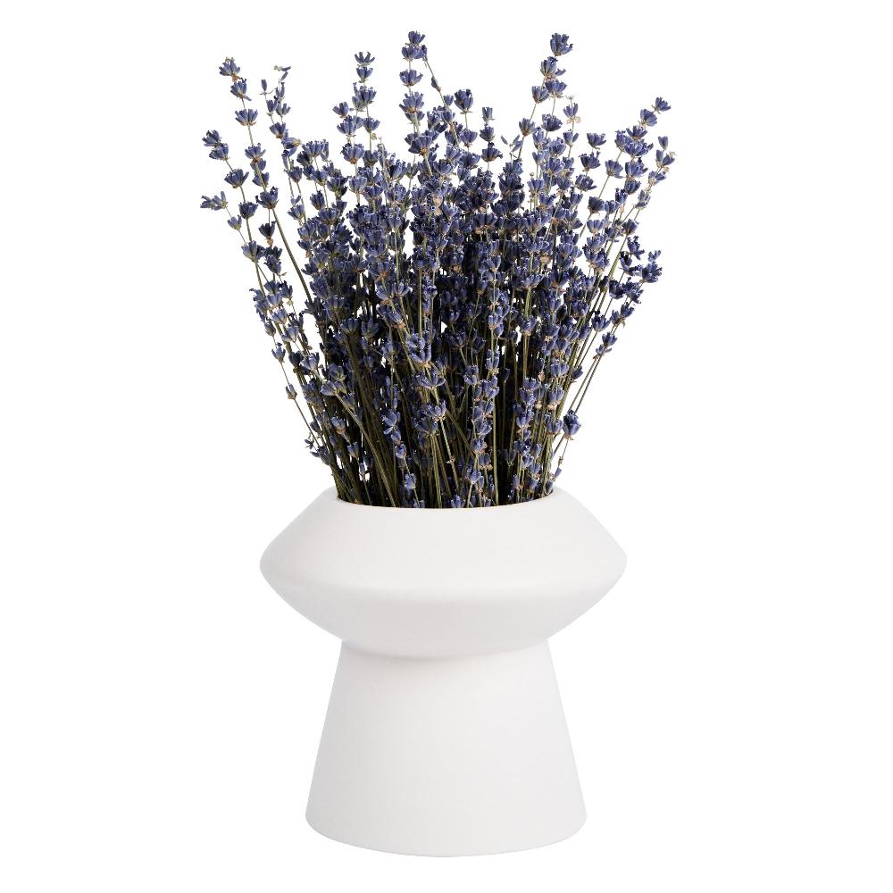 restaurantware Table Art White Ceramic Mushroom Vase - 6 1/4'' x 6 1/4'' x 6'' - 1 count box