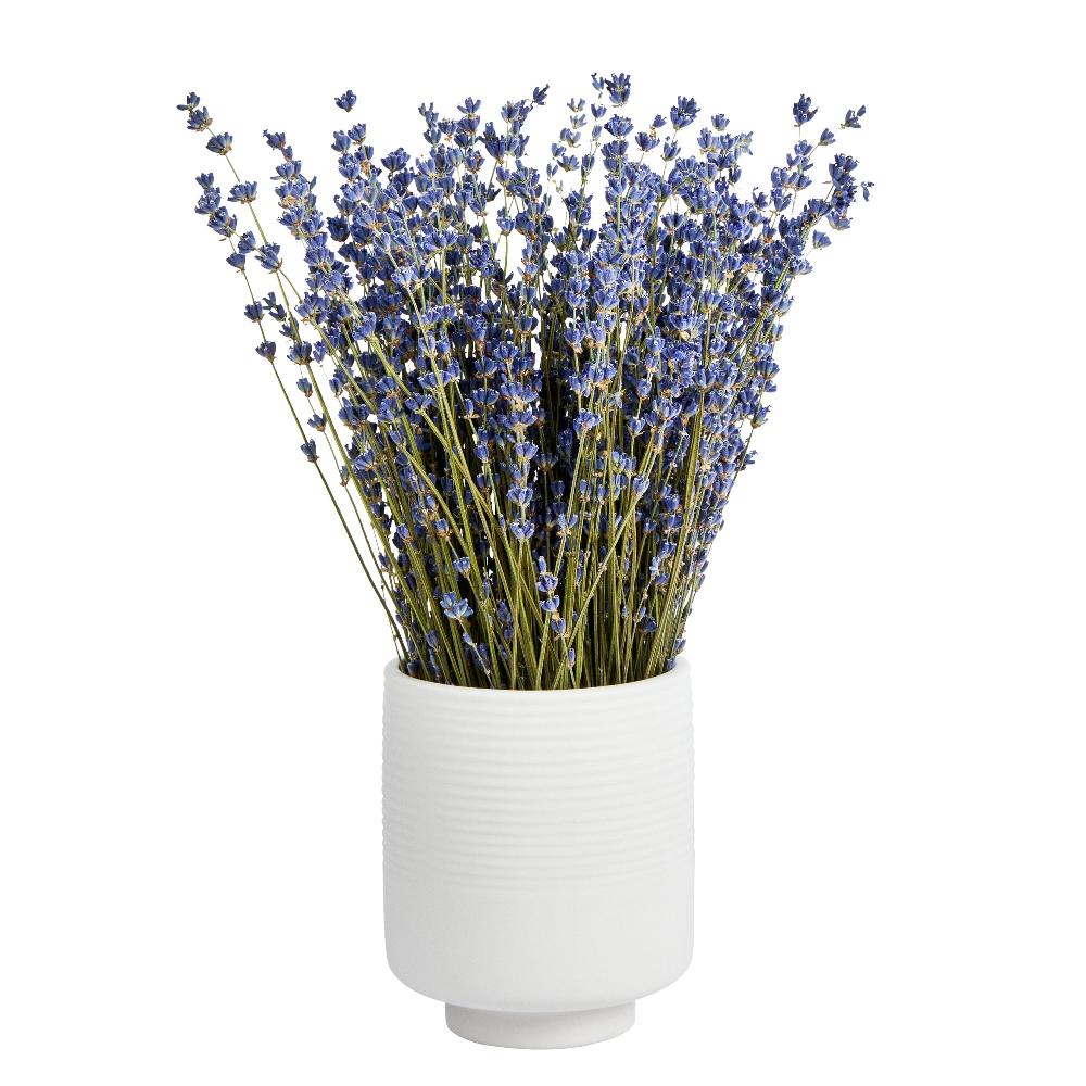 restaurantware Table Art White Ceramic Tea Cup Vase - 4 1/2'' x 4 1/2'' x 5'' - 1 count box
