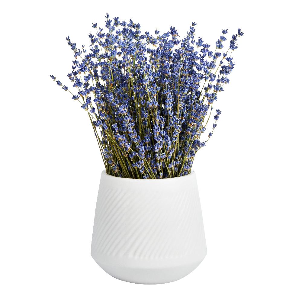 restaurantware Table Art White Ceramic Tea Cup Vase - 6'' x 6'' x 5 1/2'' - 1 count box