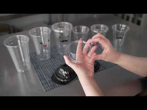 Restaurantware Visage 20 Oz Clear Plastic Cup - Madame - 3 3/4" X 3 3/4" X 5 1/2" - 1000 Count Box