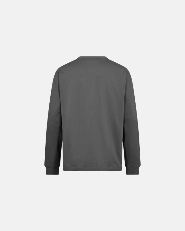 Resteröds Long-sleeved T-shirt "ted" | 100% Cotton | Grey