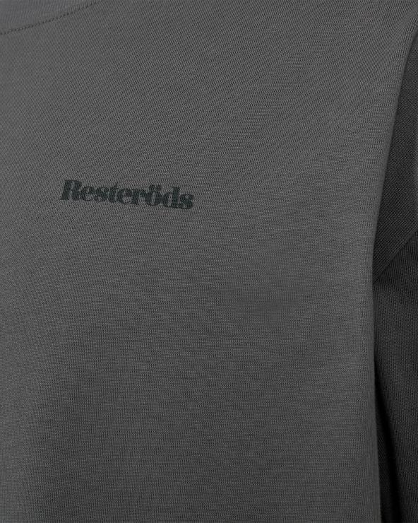 Resteröds Long-sleeved T-shirt "ted" | 100% Cotton | Grey