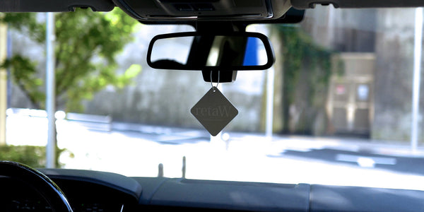 Retaw Car Tag BARNEY*