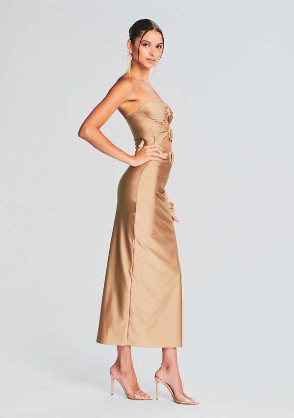 Retrofête Lily Lycra Maxi Dress Shani Shemer