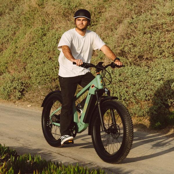 Retrospec Grateful Dead Koa Rev+ 2 Fat Tire Electric Bike