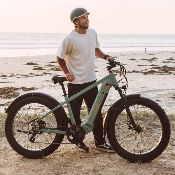Retrospec Grateful Dead Koa Rev+ 2 Fat Tire Electric Bike