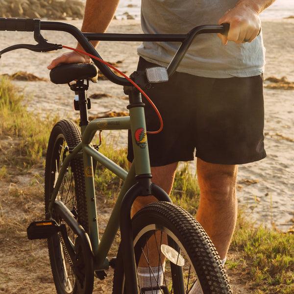 Retrospec Grateful Dead Sully Klunker Bike - Single Speed