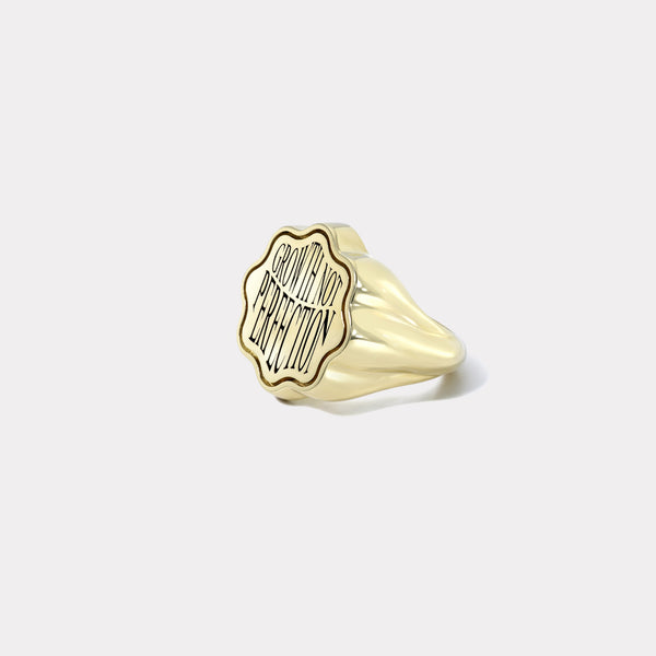 Retrouvai Talisman Wisdom Signet Ring