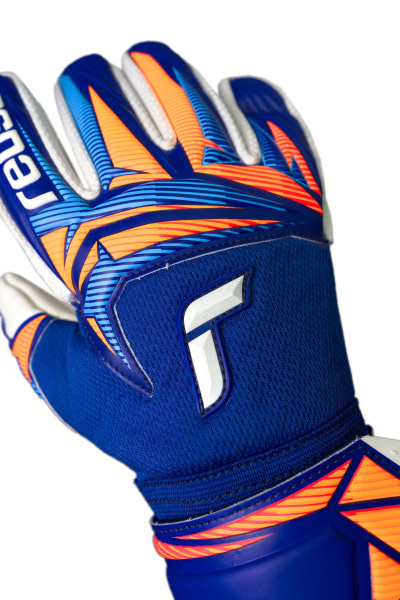 Reusch Attrakt Advance