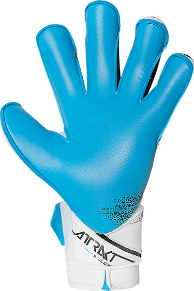 Reusch Attrakt Aqua Evolution