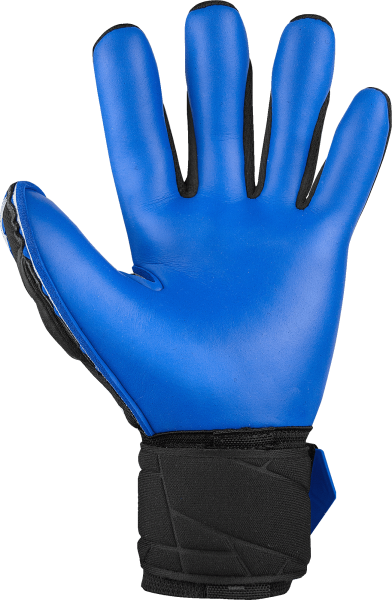 Reusch Attrakt Duo