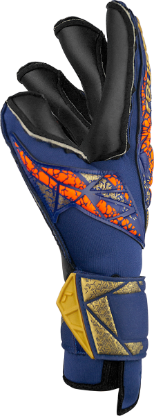 Reusch Attrakt Duo Evolution