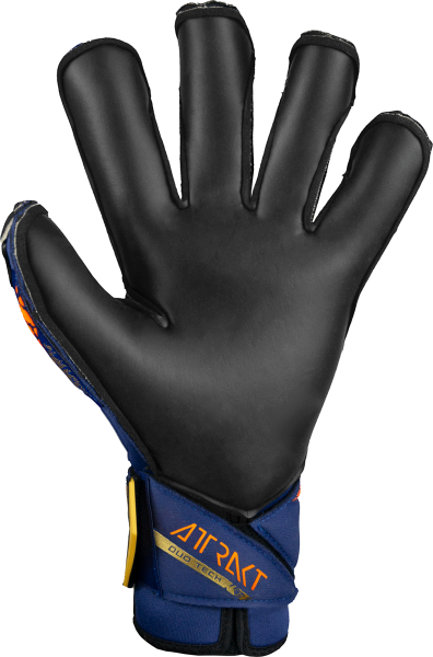 reusch Attrakt Duo Evolution