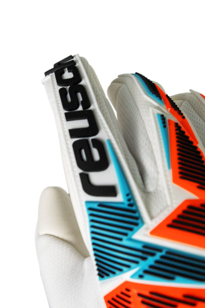 Reusch Attrakt Freegel Advance