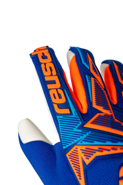 Reusch Attrakt Freegel Advance