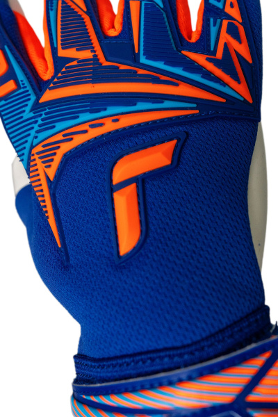 Reusch Attrakt Freegel Advance