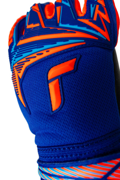 Reusch Attrakt Freegel Duo NC