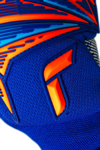 Reusch Attrakt Freegel Fusion Goaliator