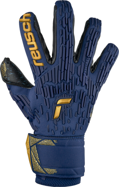 Reusch Attrakt Freegel Fusion Goaliator