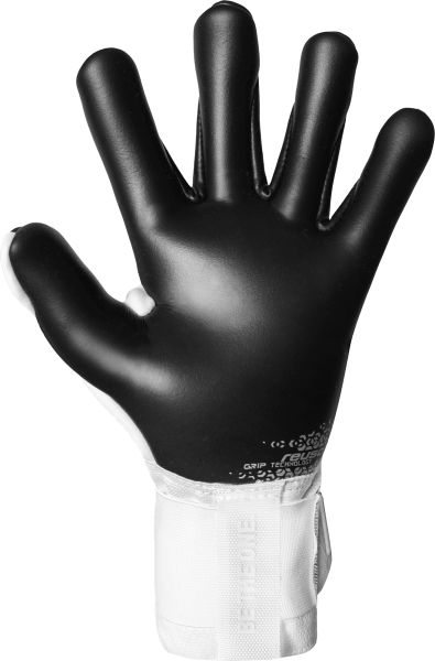 Reusch Attrakt Freegel Gold X