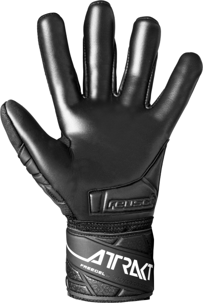 Reusch Attrakt Freegel Infinity