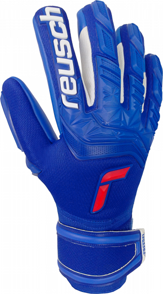 Reusch Attrakt Freegel Silver