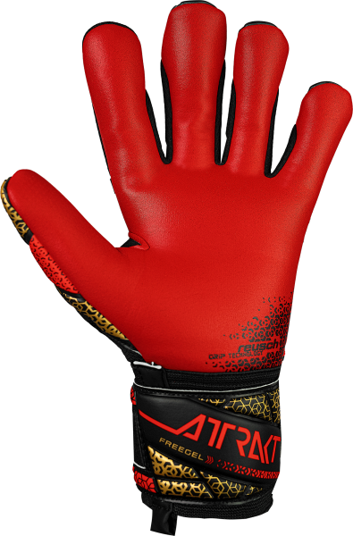 Reusch Attrakt Freegel Silver