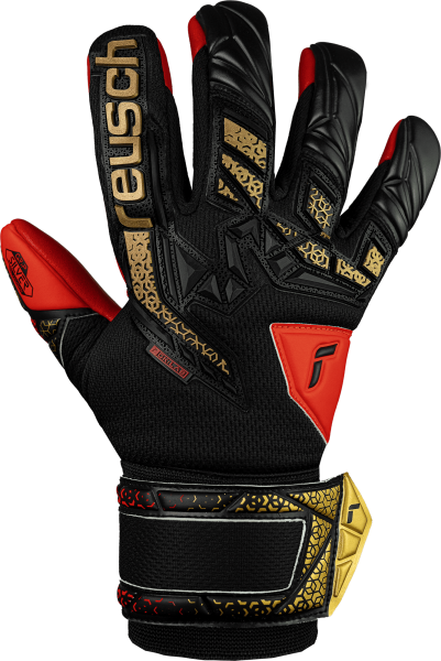 Reusch Attrakt Freegel Silver Junior