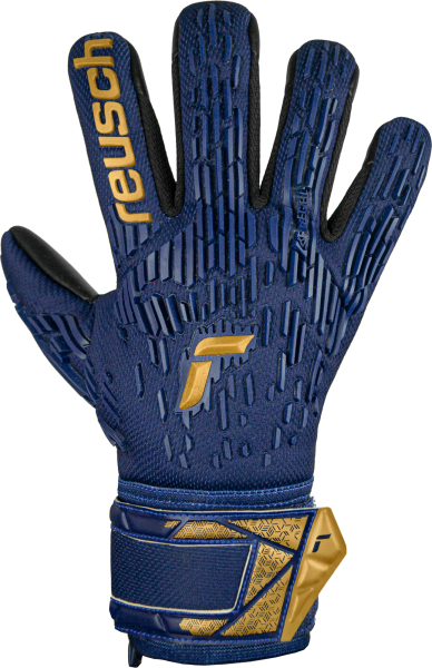 Reusch Attrakt Freegel Silver Junior