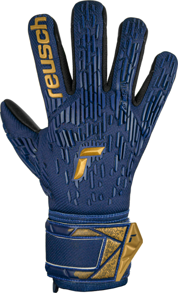 Reusch Attrakt Freegel Silver