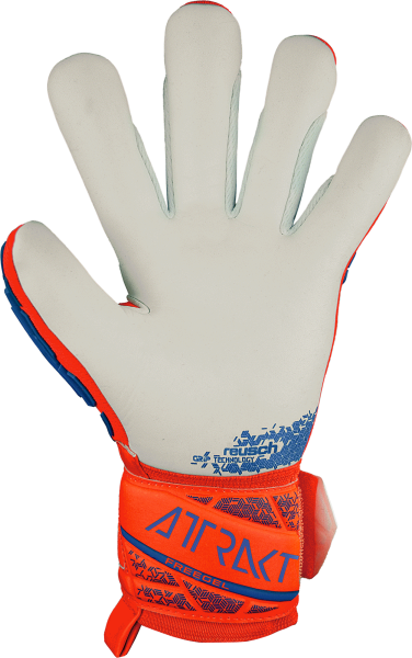 reusch Attrakt Freegel Silver