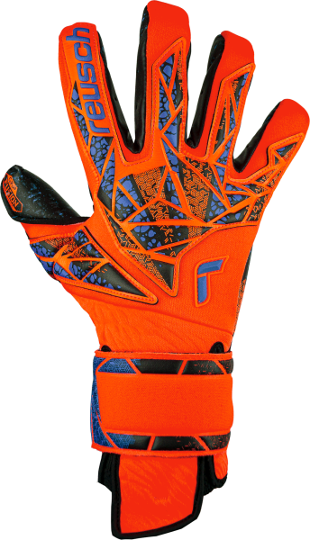 Reusch Attrakt Fusion Guardian