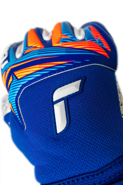 Reusch Attrakt Fusion NC