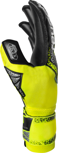 Reusch Attrakt Gold X Evolution