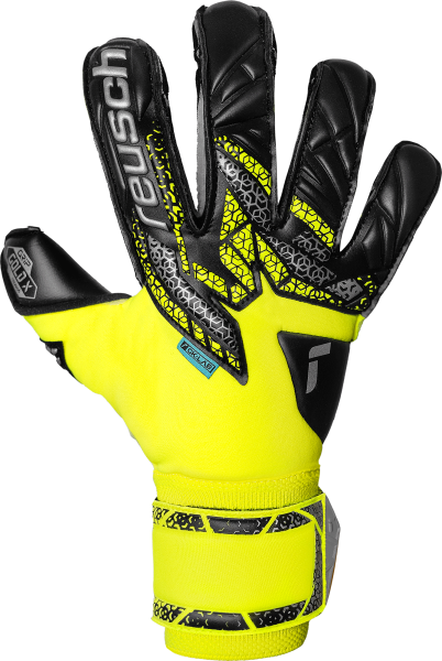 Reusch Attrakt Gold X Evolution