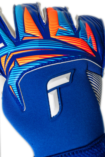 Reusch Attrakt Gold X Evolution