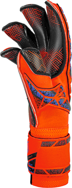 Reusch Attrakt Gold X Evolution GluePrint