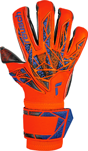 Reusch Attrakt Gold X Evolution GluePrint