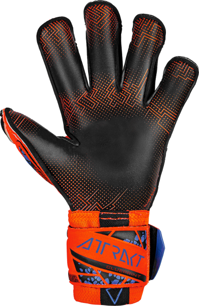 reusch Attrakt Gold X Evolution GluePrint