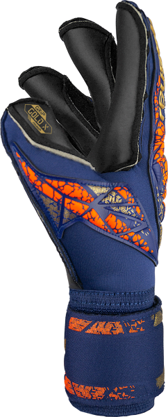 Reusch Attrakt Gold X Evolution