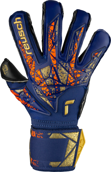 Reusch Attrakt Gold X Evolution