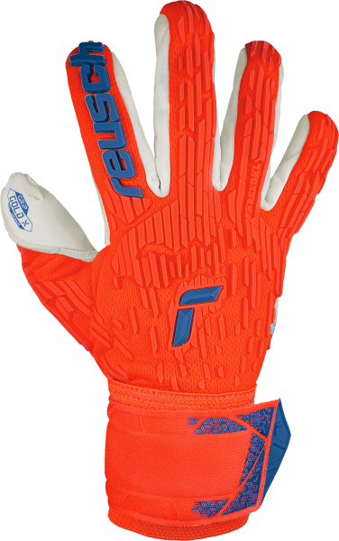 Reusch Attrakt Gold X Freegel