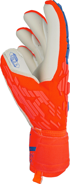 Reusch Attrakt Gold X Freegel