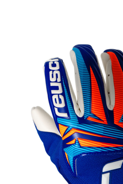 Reusch Attrakt Gold X Guardian