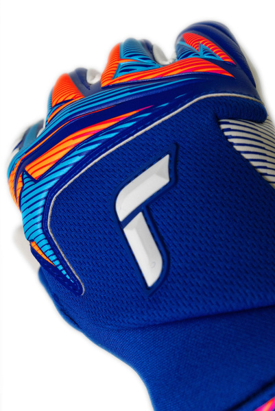 Reusch Attrakt Gold X Guardian