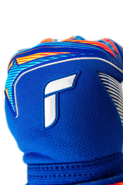 Reusch Attrakt Gold X NC