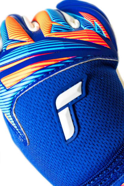 Reusch Attrakt Gold X NC Junior